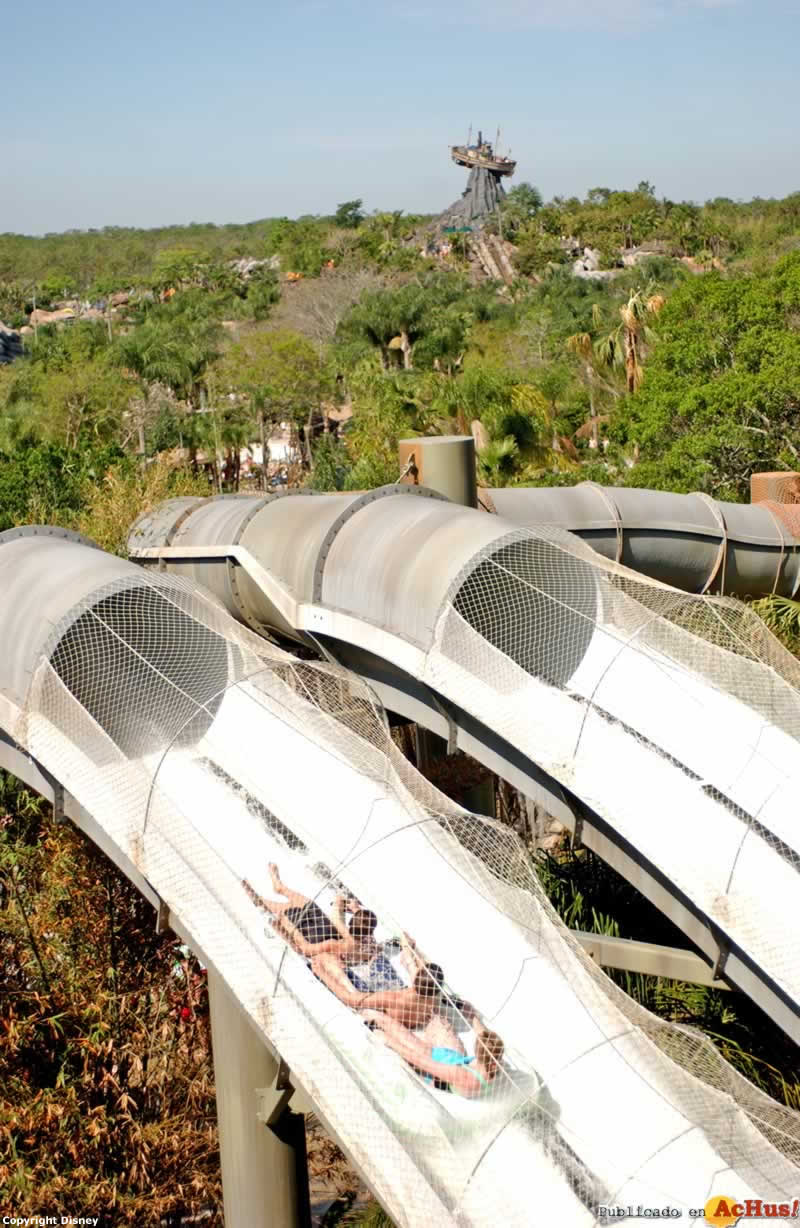 Imagen de Disney´s Typhoon Lagoon Water Park  Crush n Gusher 4